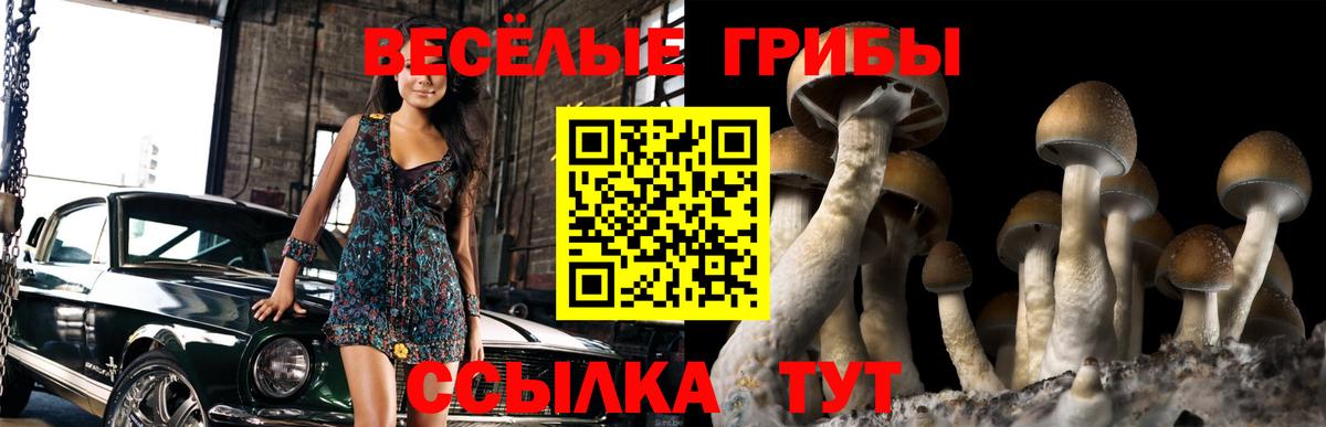 Галлюциногенные грибы GOLDEN TEACHER Татарск